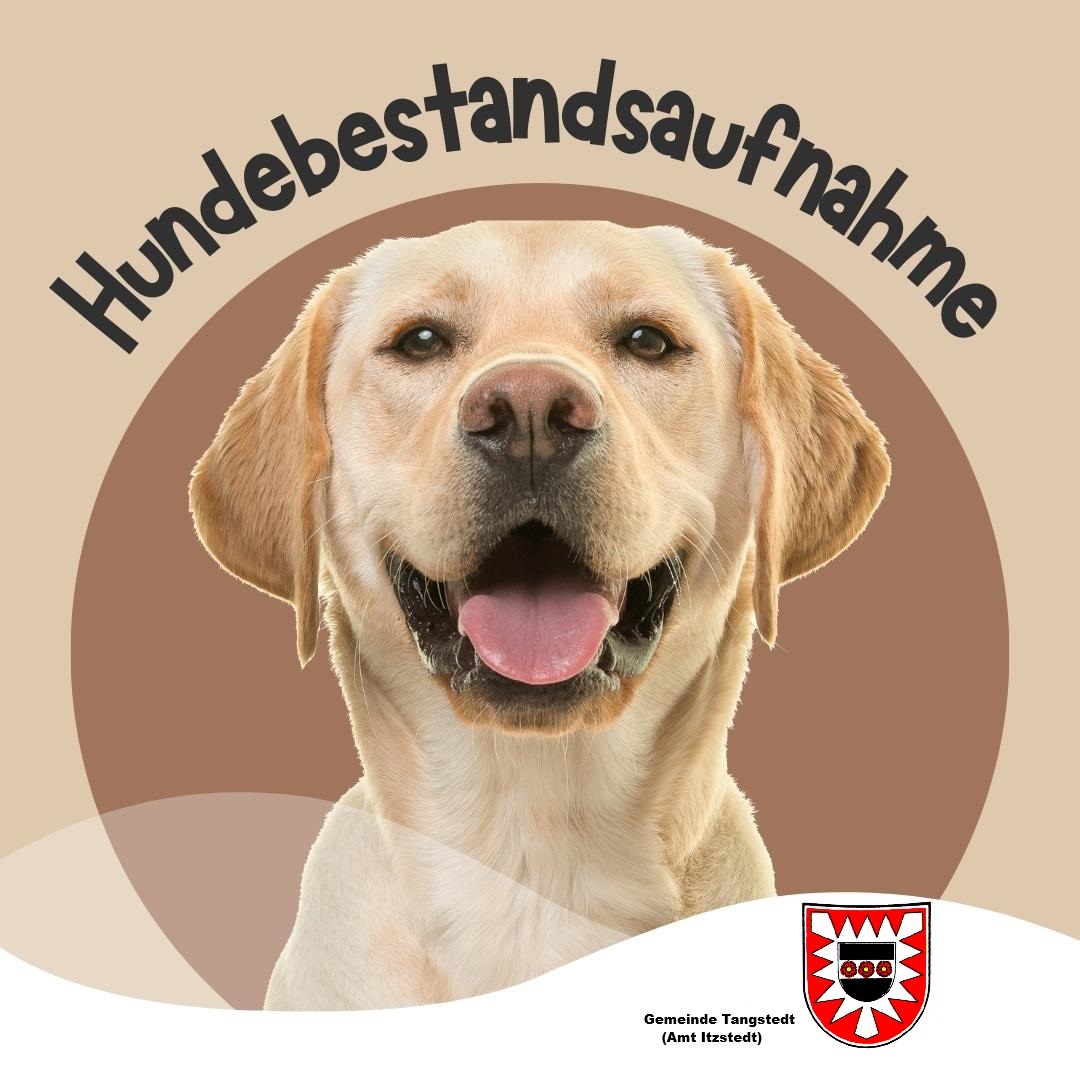 Hundebestandsaufnahme - 1